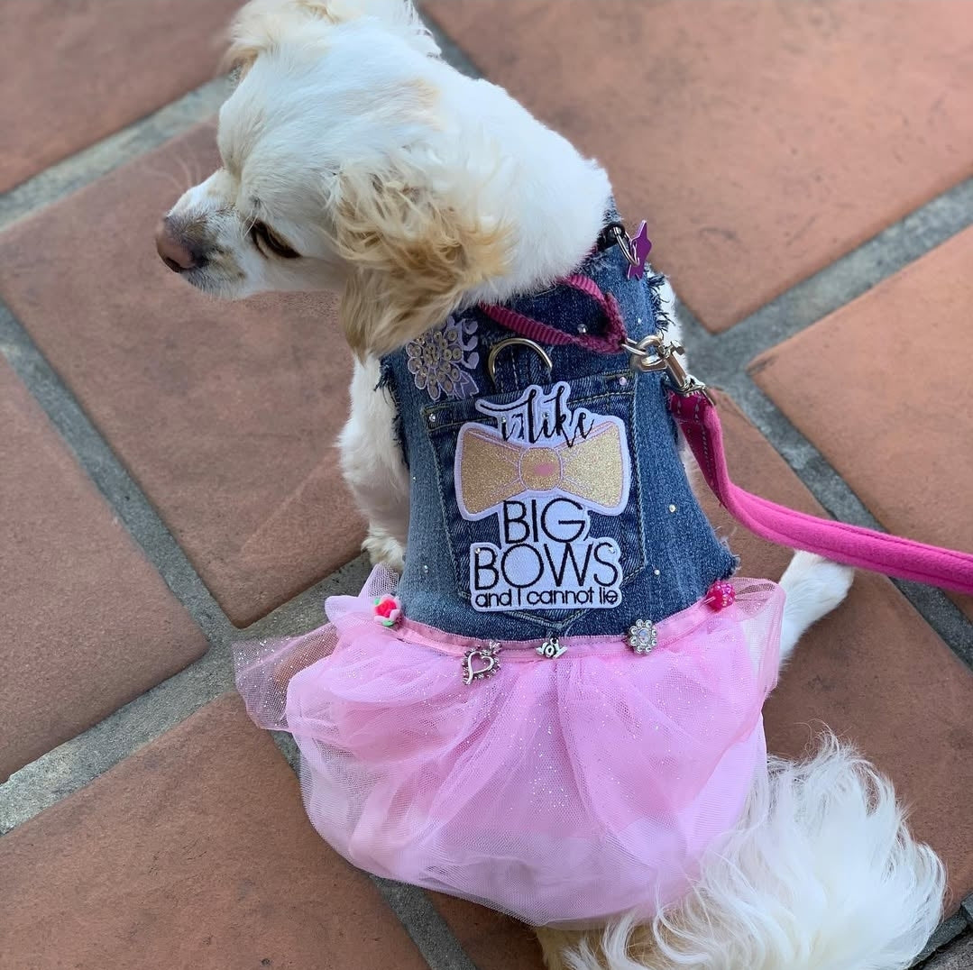 Denim dog harness with tutu