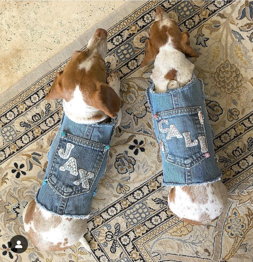 Customized Name patches Denim Harness