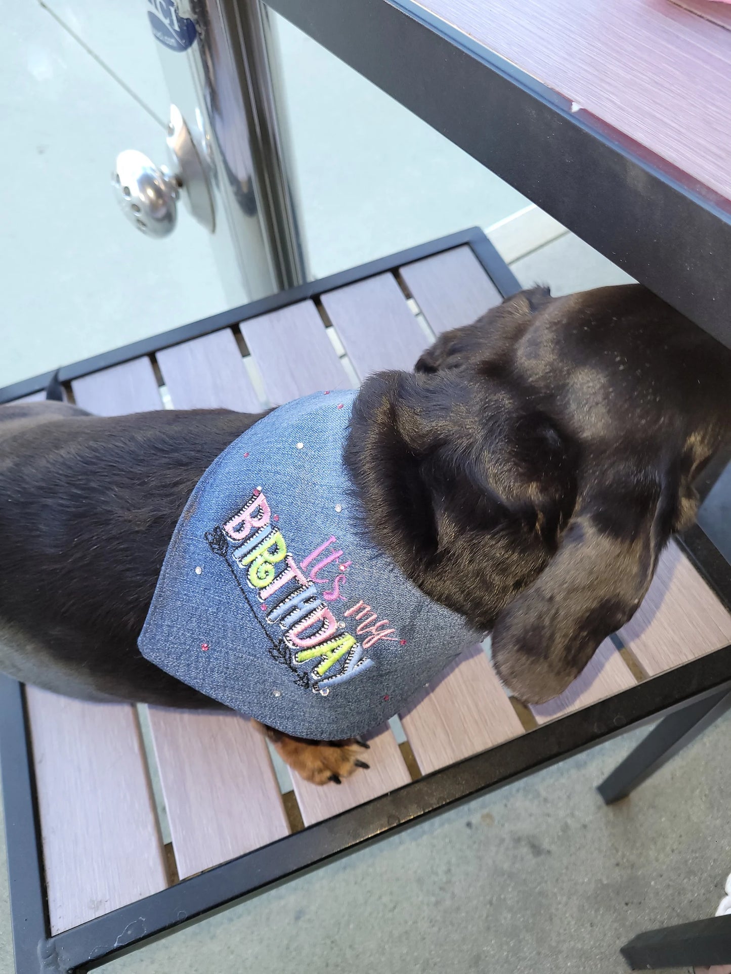 "It's my Birthday" embroidered bandana with Swarovski crystals
