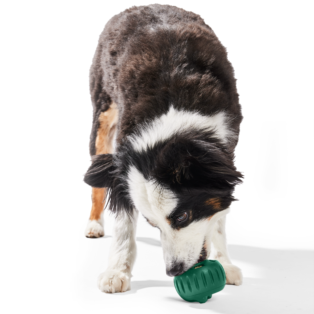 WOOF Pupsicle Green